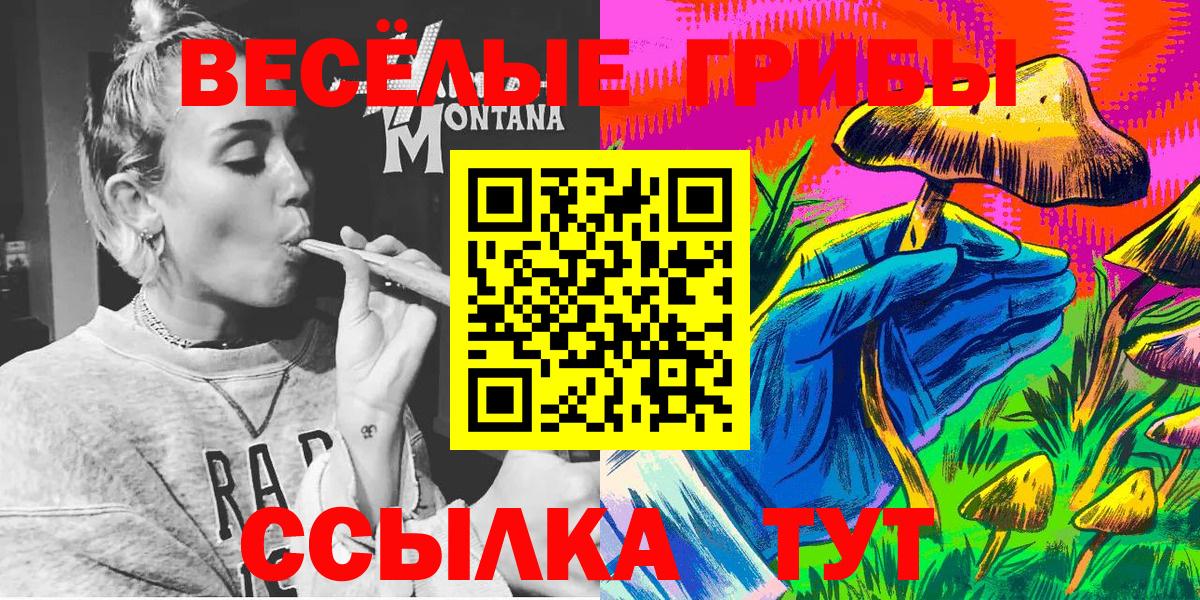 как найти   Вход с VPN  Псилоцибиновые грибы Magic Shrooms  Костомукша  Галлюциногенные грибы мухоморы 